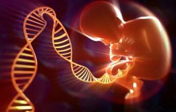 反复流产案例